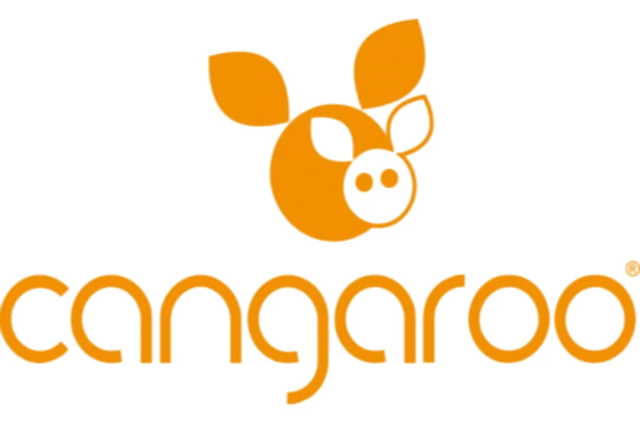 Cangaroo Adore Anti-reflux Hellend Vlak Kussen 7 Cangaroo Adore Anti-reflux Hellend Vlak Kussen - Afbeelding 5