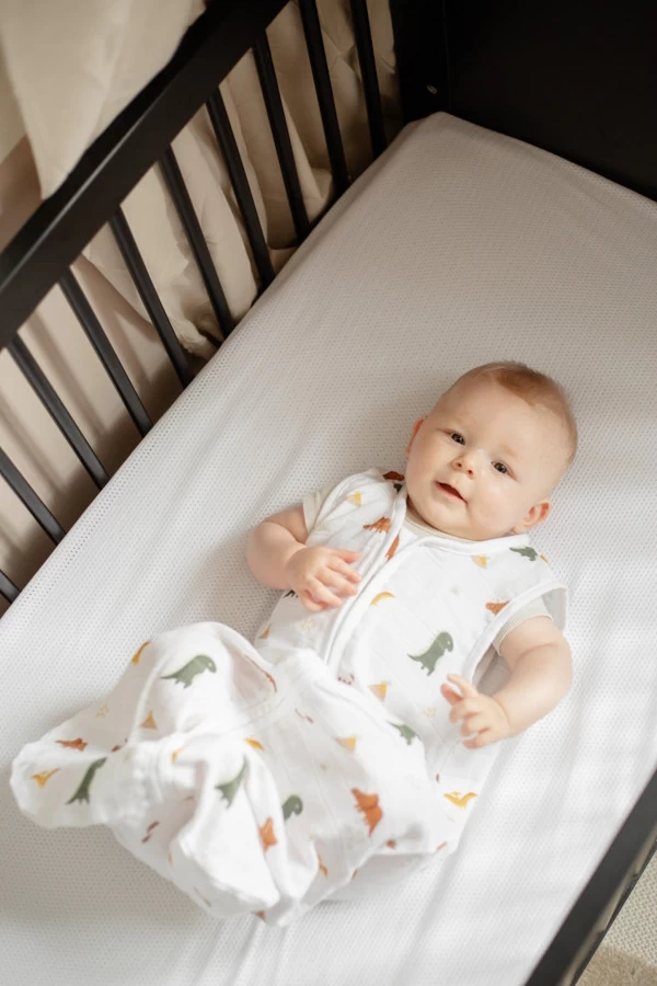 Blush & Blossom Dinosaurus 110 Cm Hydrofiel Slaapzak TR-BB443437 7 Blush & Blossom Dinosaurus 110 Cm Hydrofiel Slaapzak TR-BB443437 - Afbeelding 5