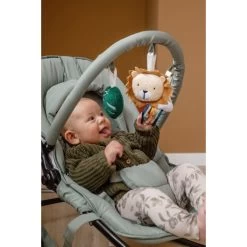 Tryco Lion Leo Groen Wipstoel TR-272703 21 Tryco Lion Leo Groen Wipstoel TR-272703 -Kinderkraft Winkel tryco lion leo groen wipstoel tr 272703 sfeer3 1